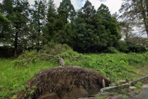 千葉県山武市