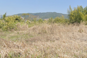 宮崎県えびの市